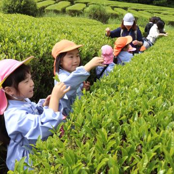 5月15日 寺前幼稚園 春の遠足の写真1