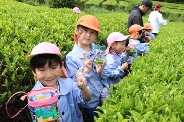 5月15日 寺前幼稚園 春の遠足の写真2
