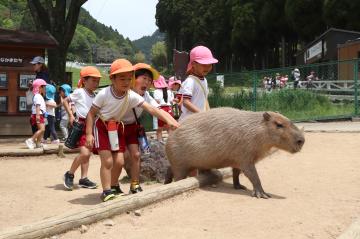5月15日 寺前幼稚園 春の遠足の写真4